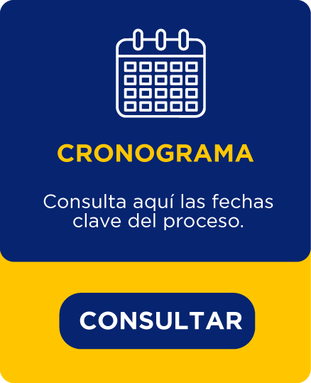 Cronograma