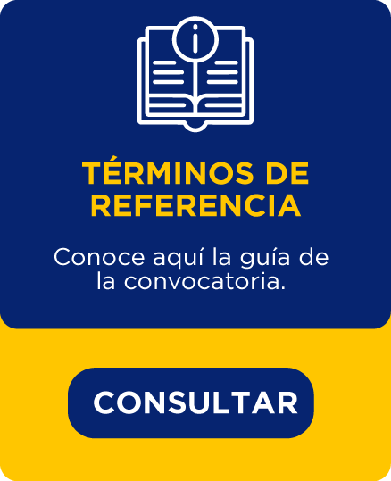 Términos de referencia